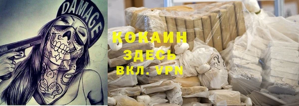 сатива Долгопрудный
