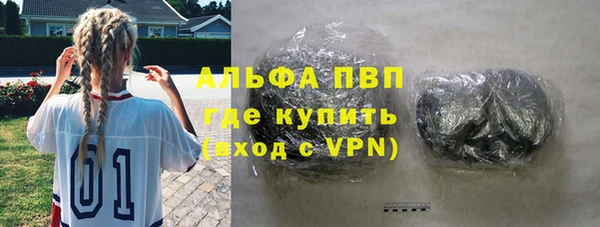 сатива Долгопрудный