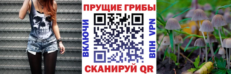 Галлюциногенные грибы GOLDEN TEACHER  где продают наркотики  Щёкино 